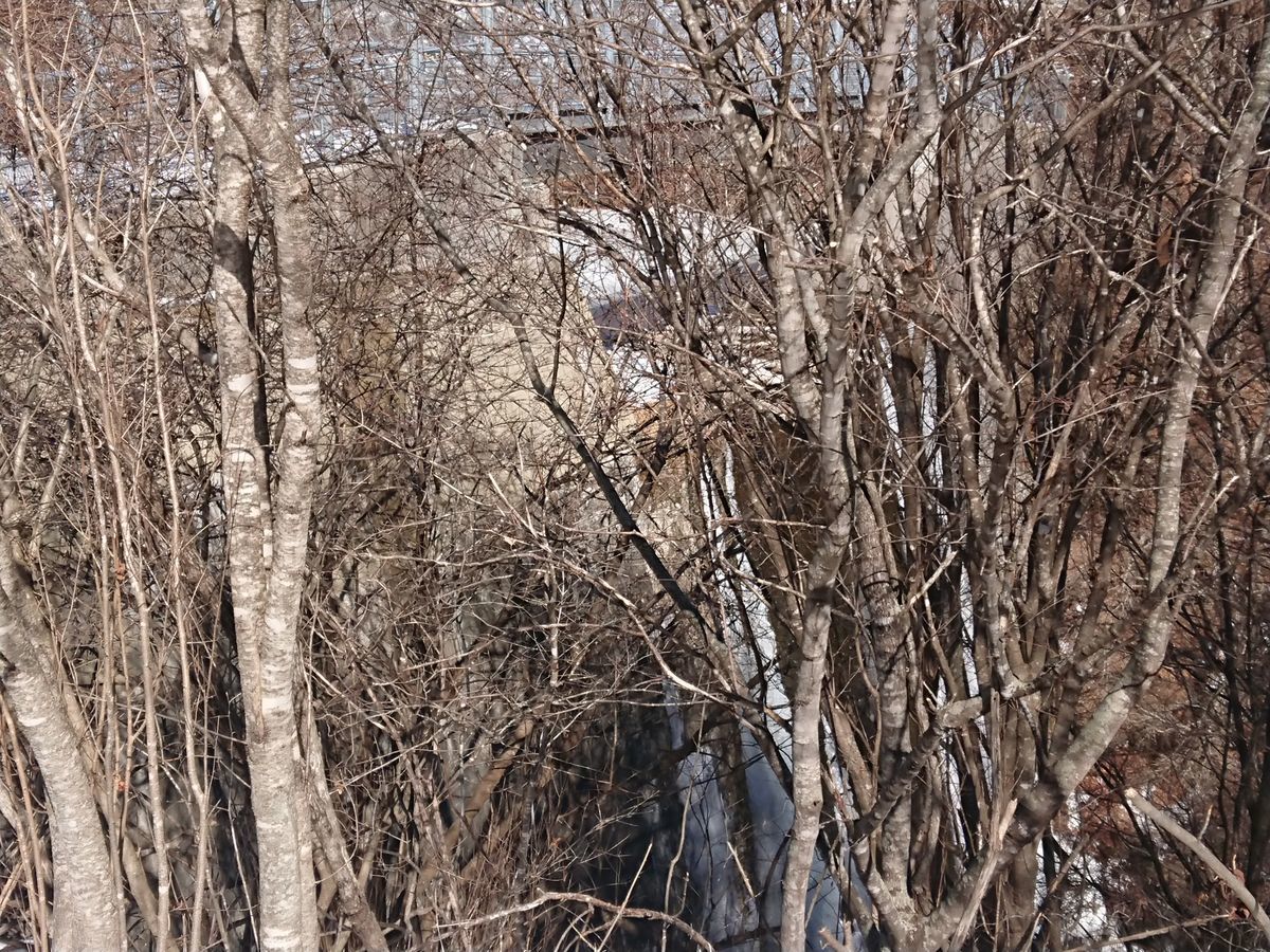 f:id:damtraveller:20210205180741j:plain