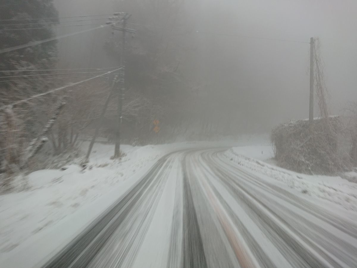 f:id:damtraveller:20210211150841j:plain