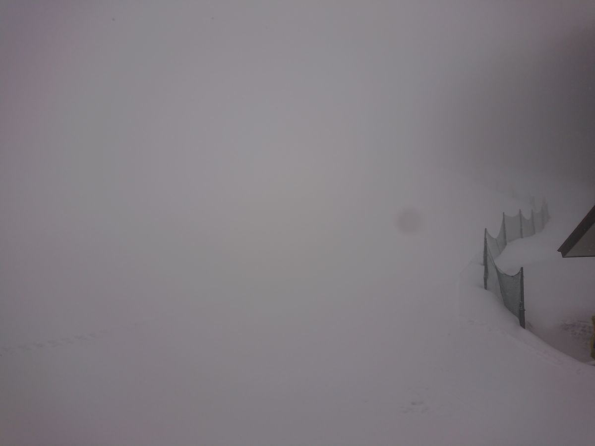 f:id:damtraveller:20210211151835j:plain