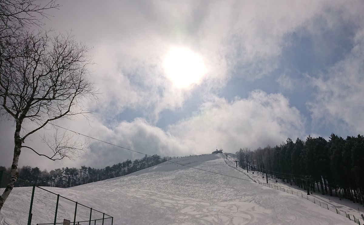 f:id:damtraveller:20210211161026j:plain