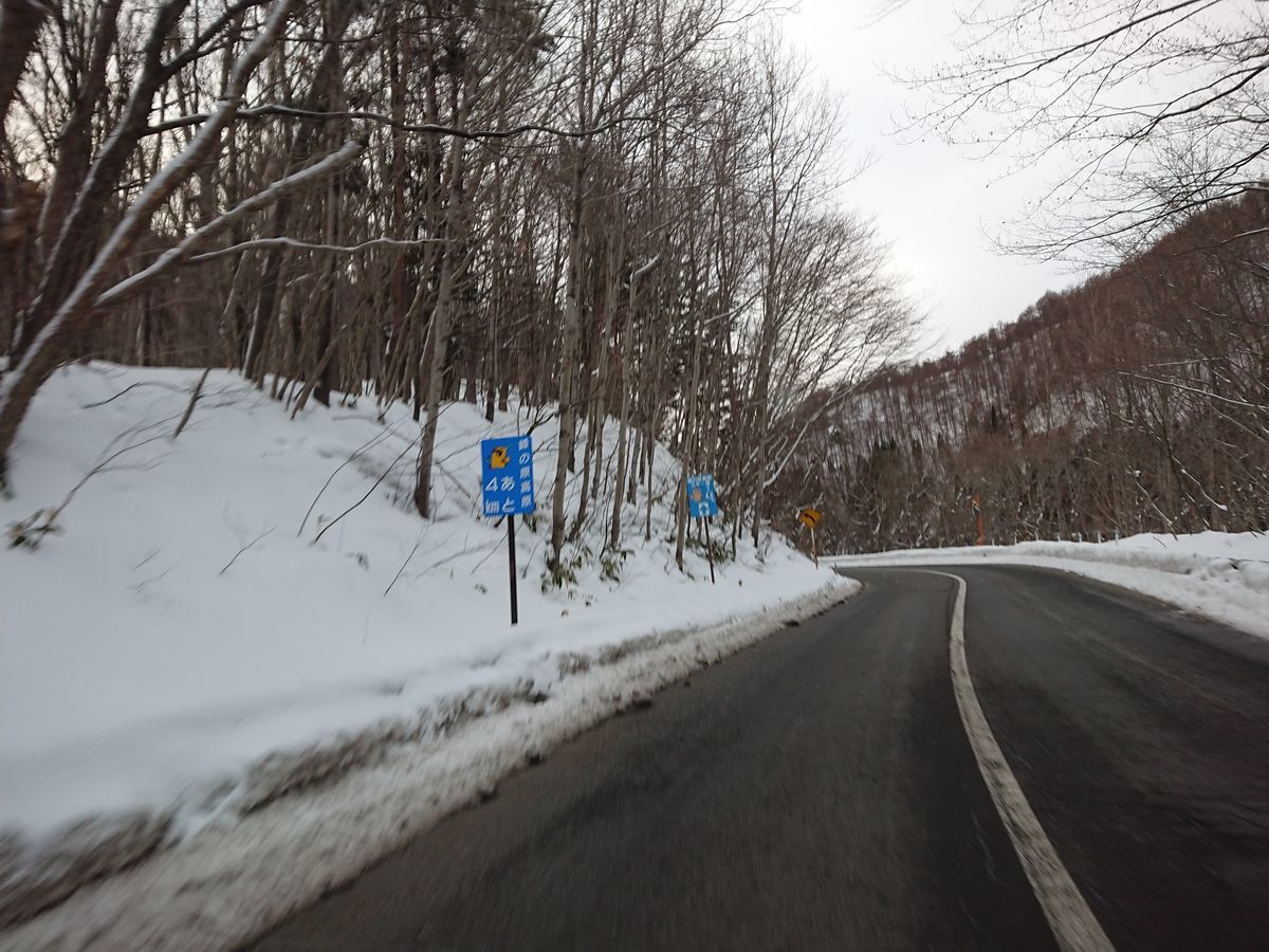 f:id:damtraveller:20210212154519j:plain