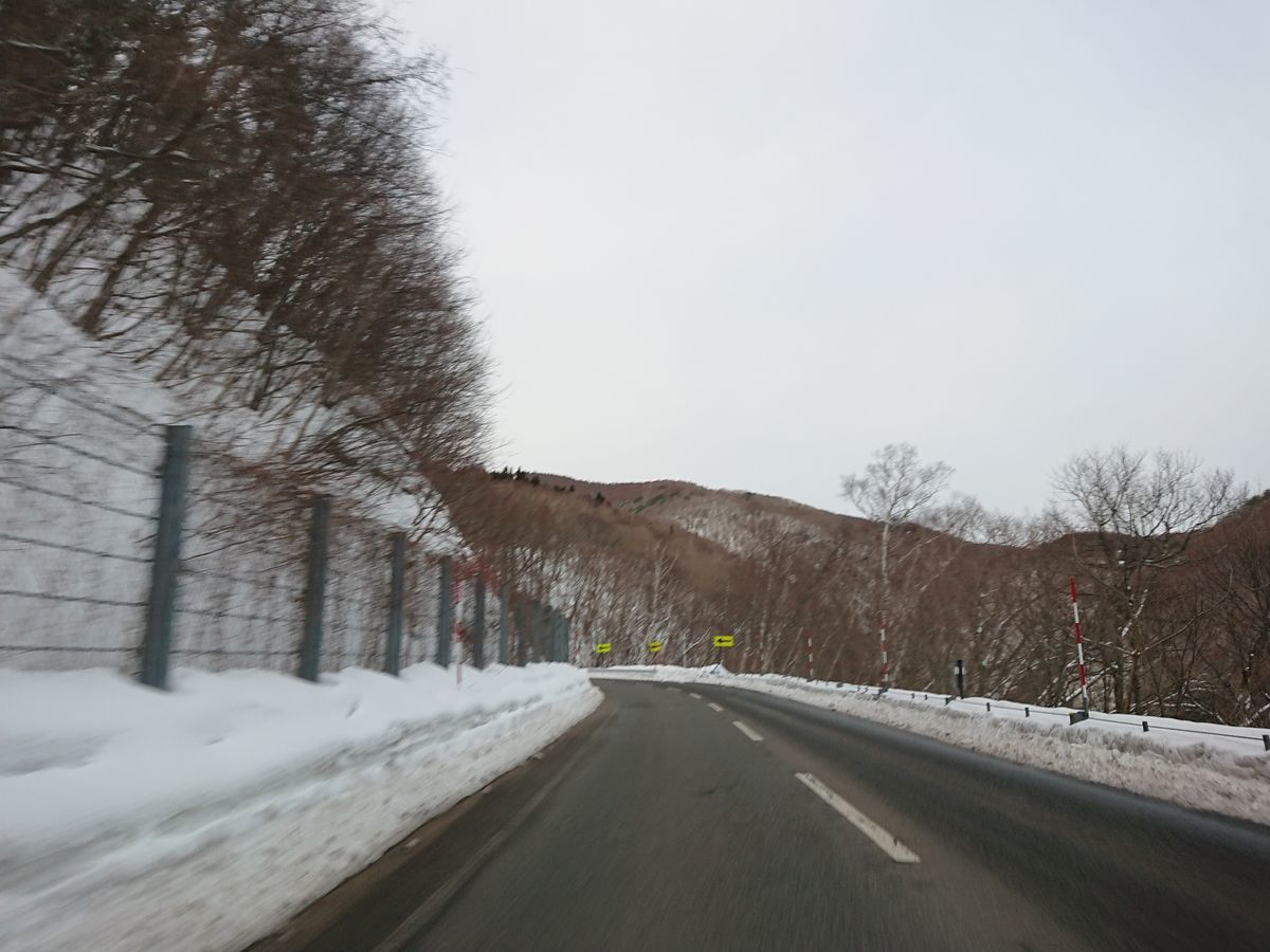 f:id:damtraveller:20210212154605j:plain