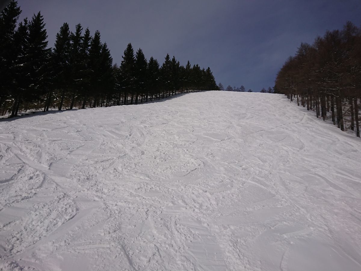 f:id:damtraveller:20210212171002j:plain