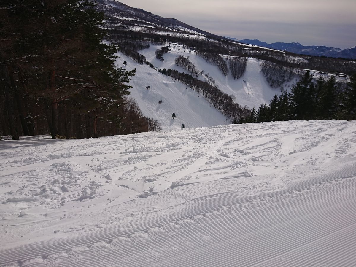 f:id:damtraveller:20210212171245j:plain