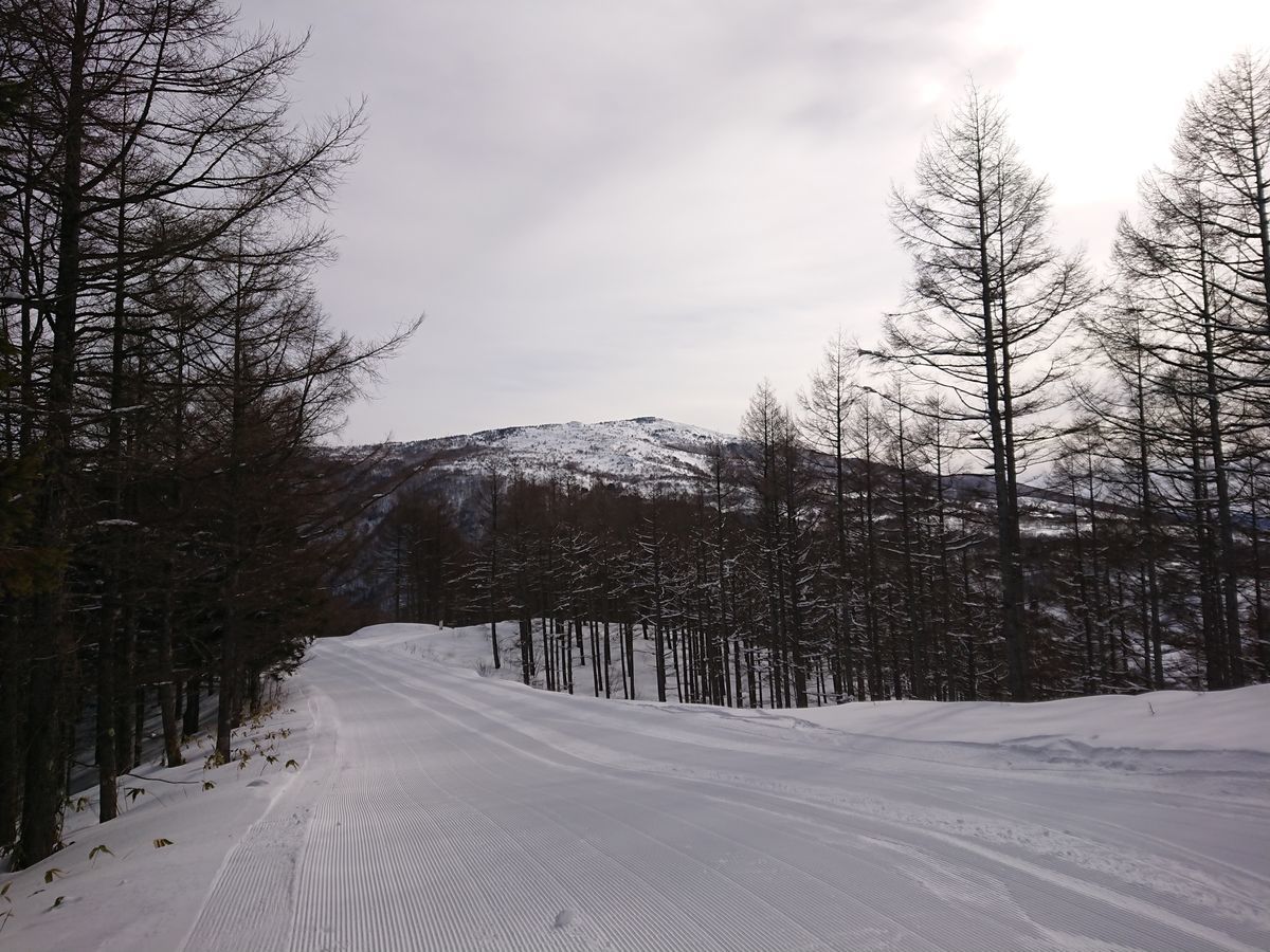 f:id:damtraveller:20210212171453j:plain