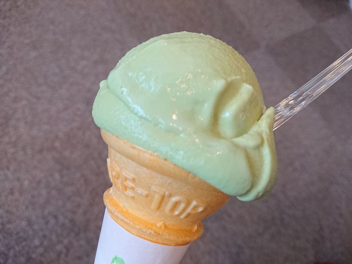 f:id:damtraveller:20210212172807j:plain