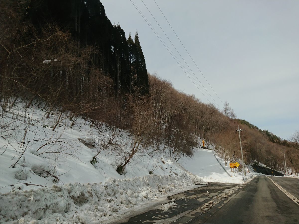 f:id:damtraveller:20210212175031j:plain