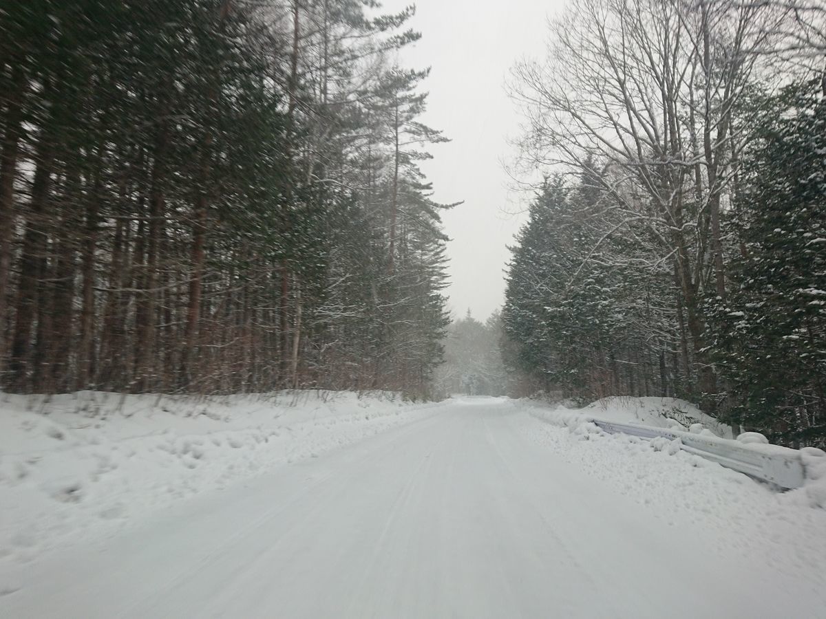 f:id:damtraveller:20210217172355j:plain