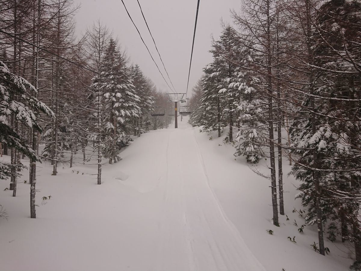 f:id:damtraveller:20210217174737j:plain