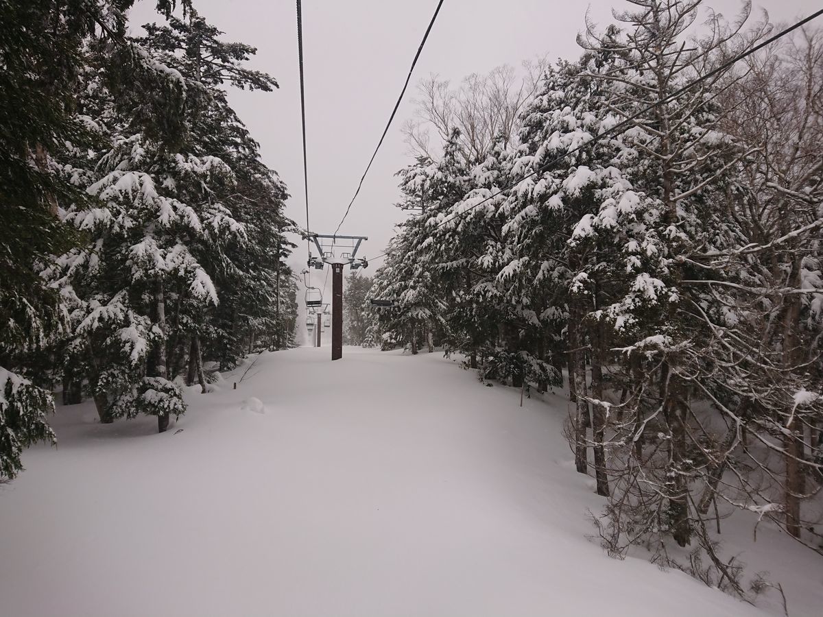 f:id:damtraveller:20210217182113j:plain