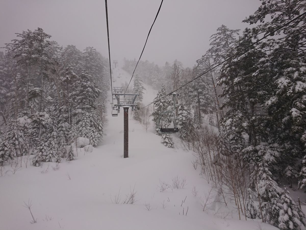 f:id:damtraveller:20210217182145j:plain