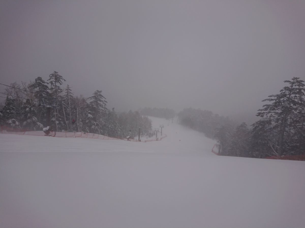 f:id:damtraveller:20210217182223j:plain