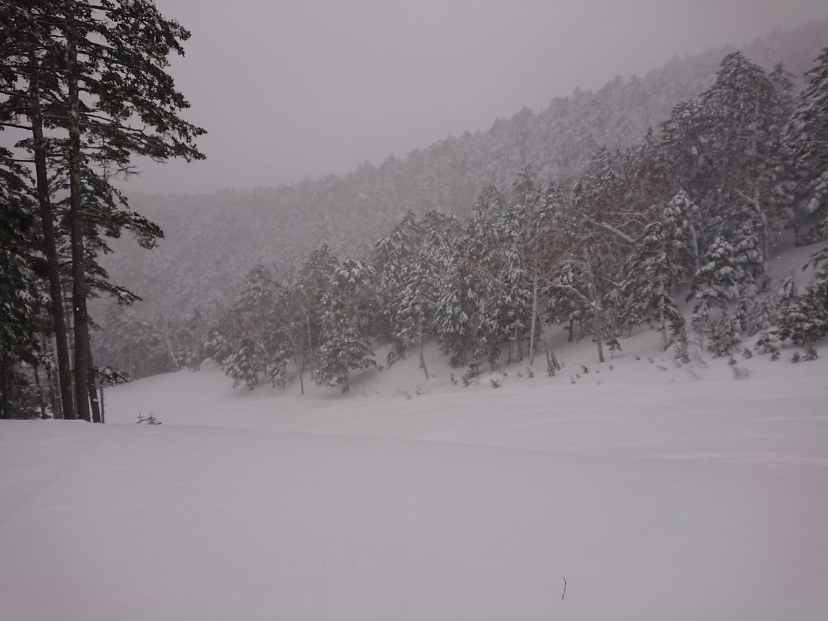 f:id:damtraveller:20210217182325j:plain