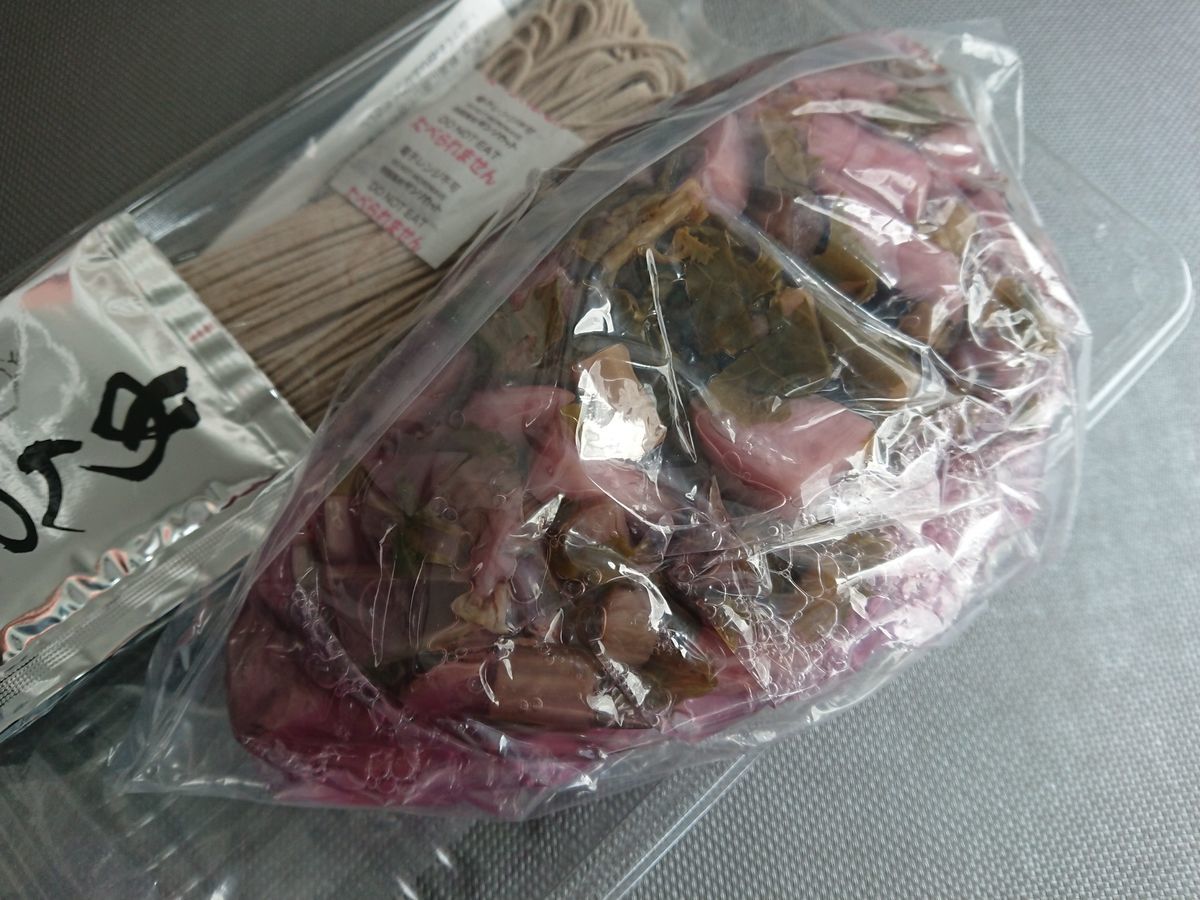 f:id:damtraveller:20210217192445j:plain