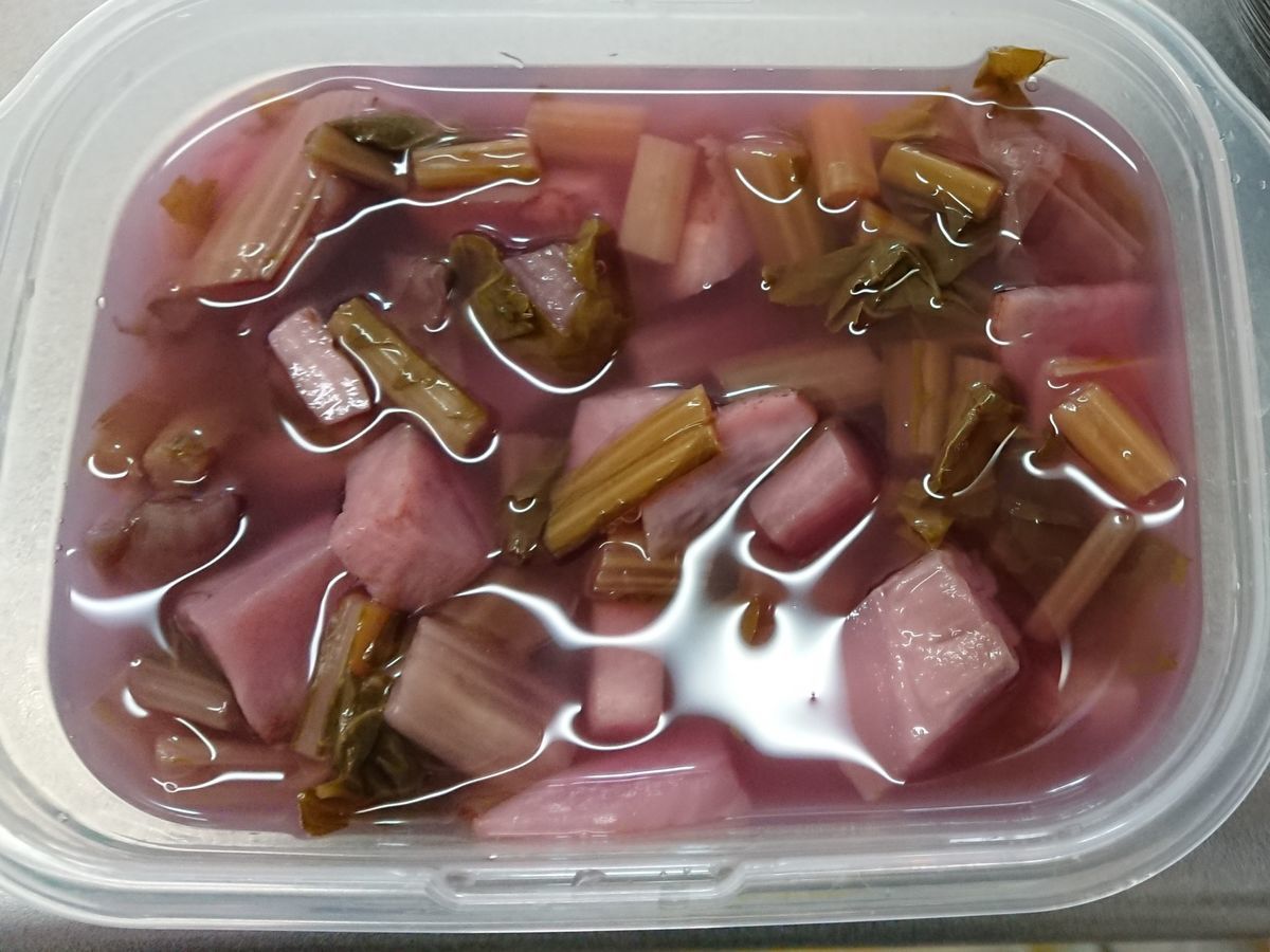 f:id:damtraveller:20210219174419j:plain