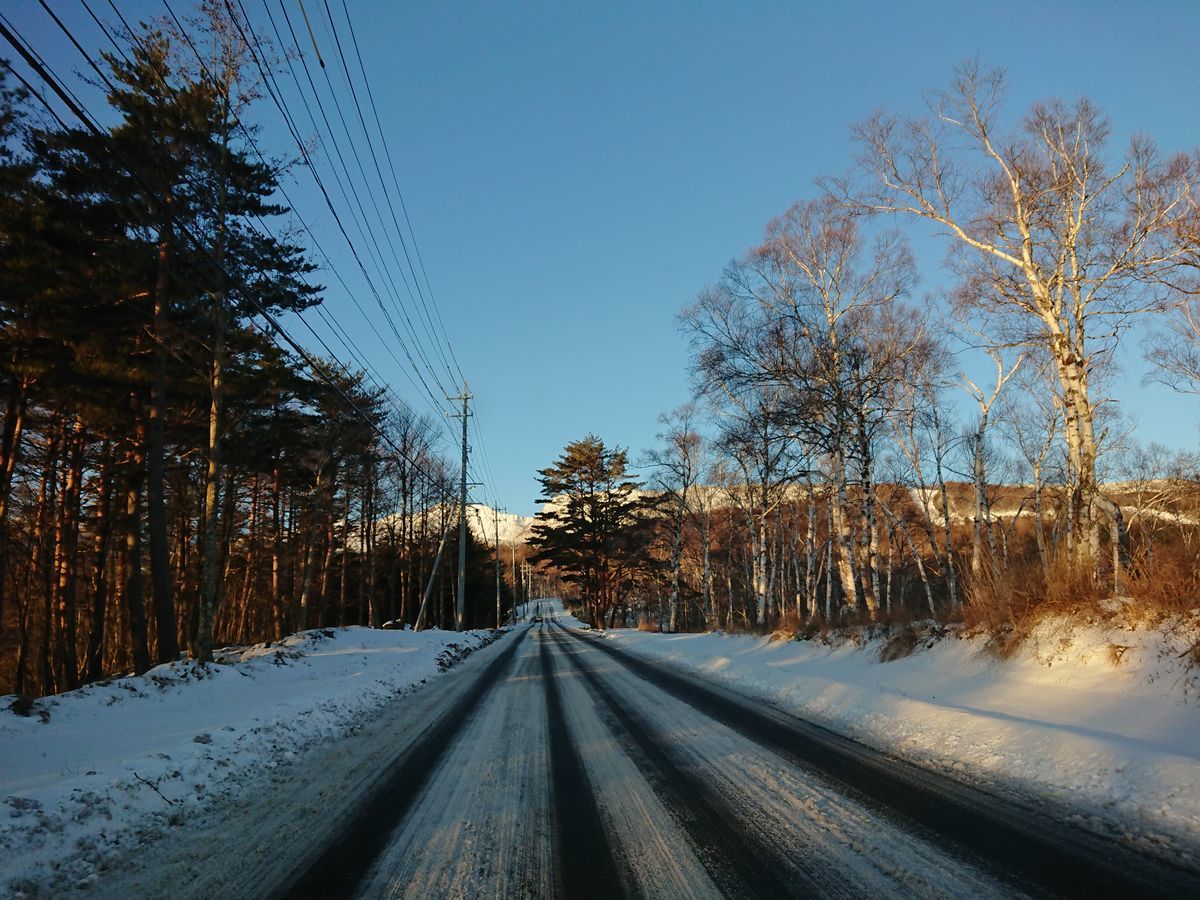 f:id:damtraveller:20210219181600j:plain