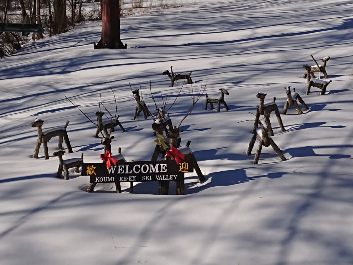 f:id:damtraveller:20210219182208j:plain