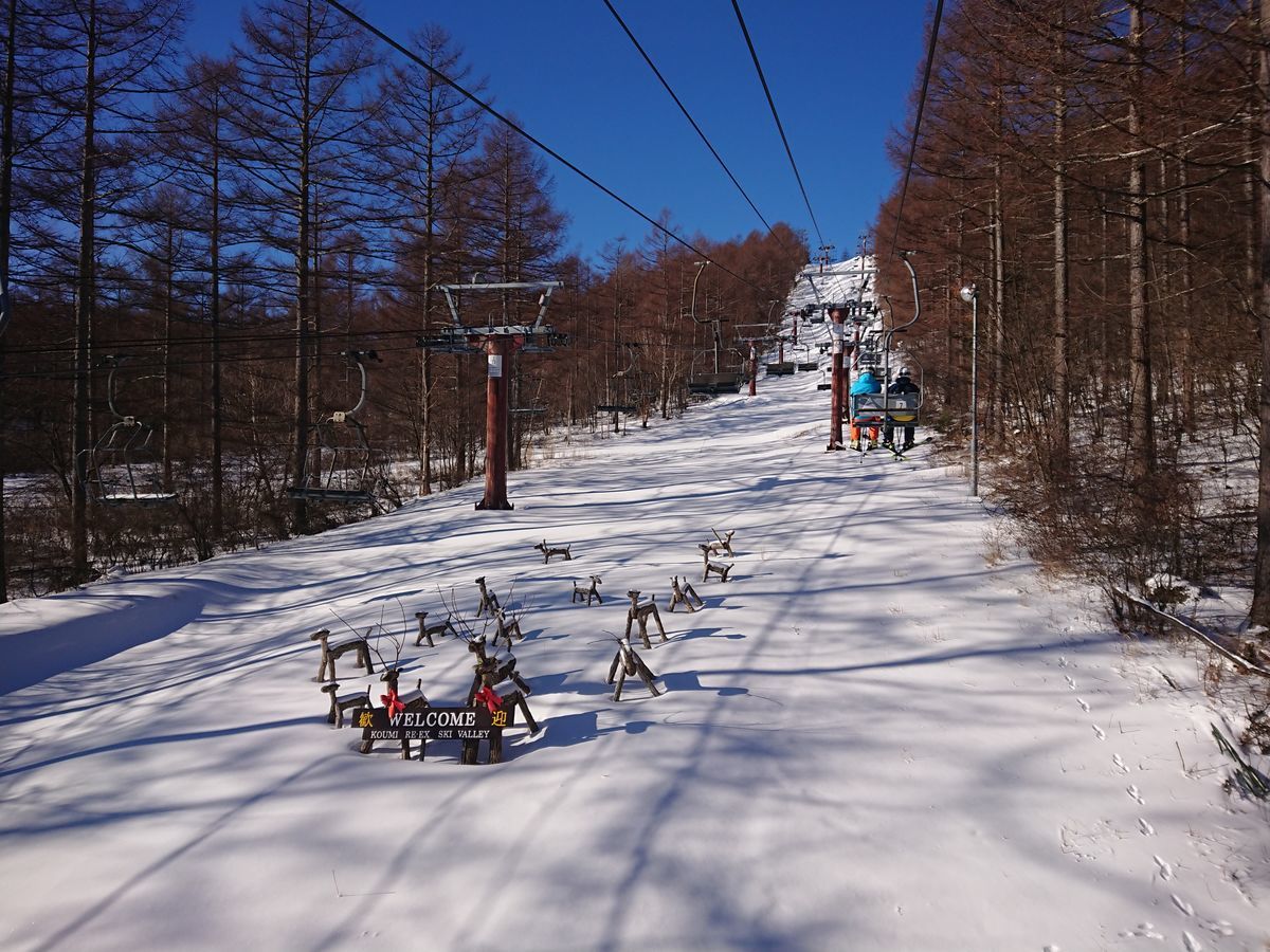 f:id:damtraveller:20210219182210j:plain