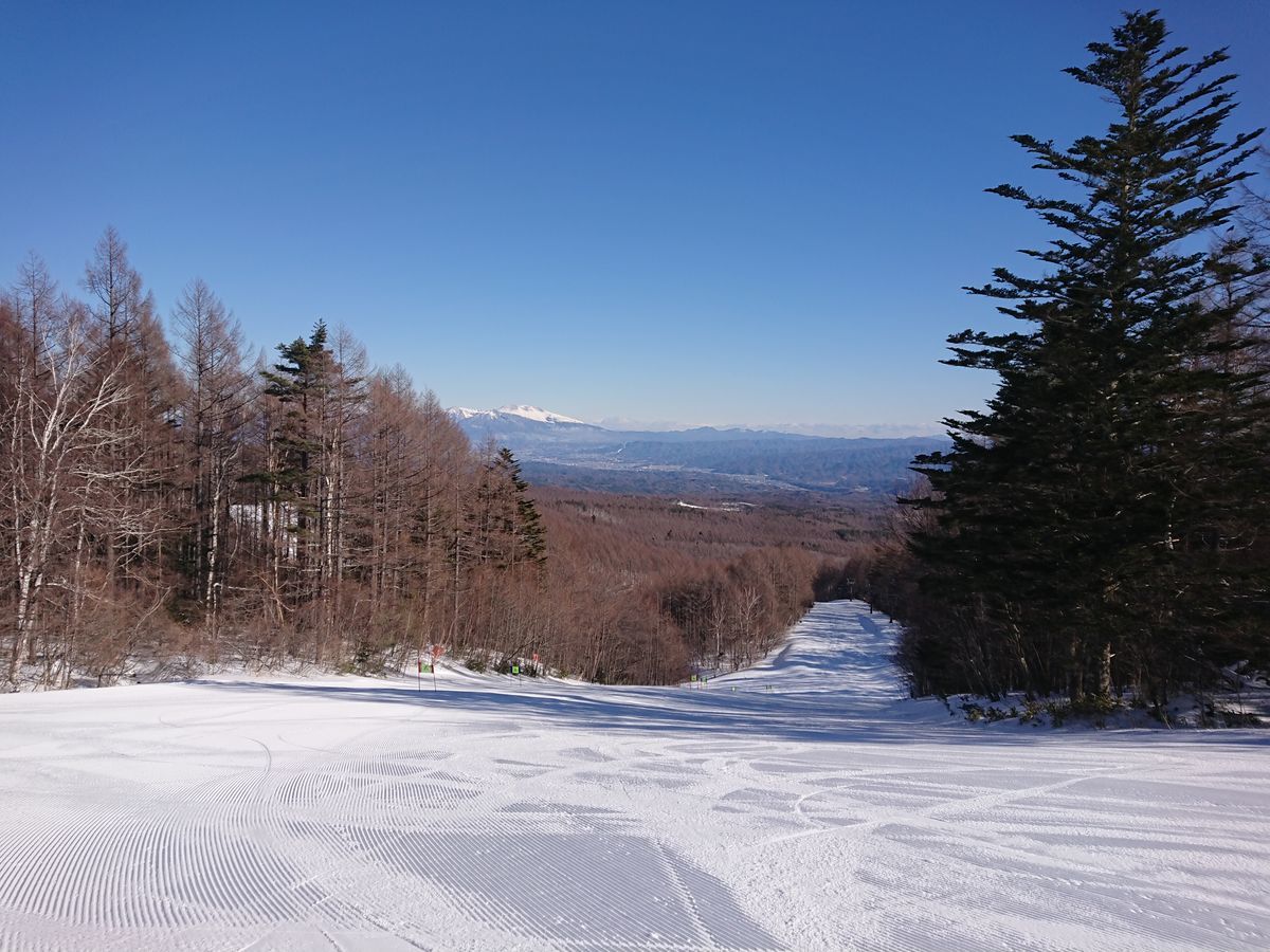 f:id:damtraveller:20210219183642j:plain