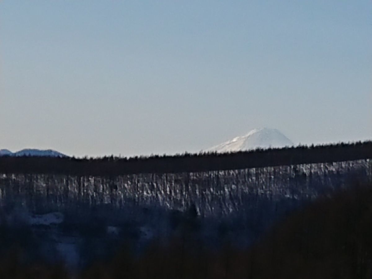 f:id:damtraveller:20210219184402j:plain