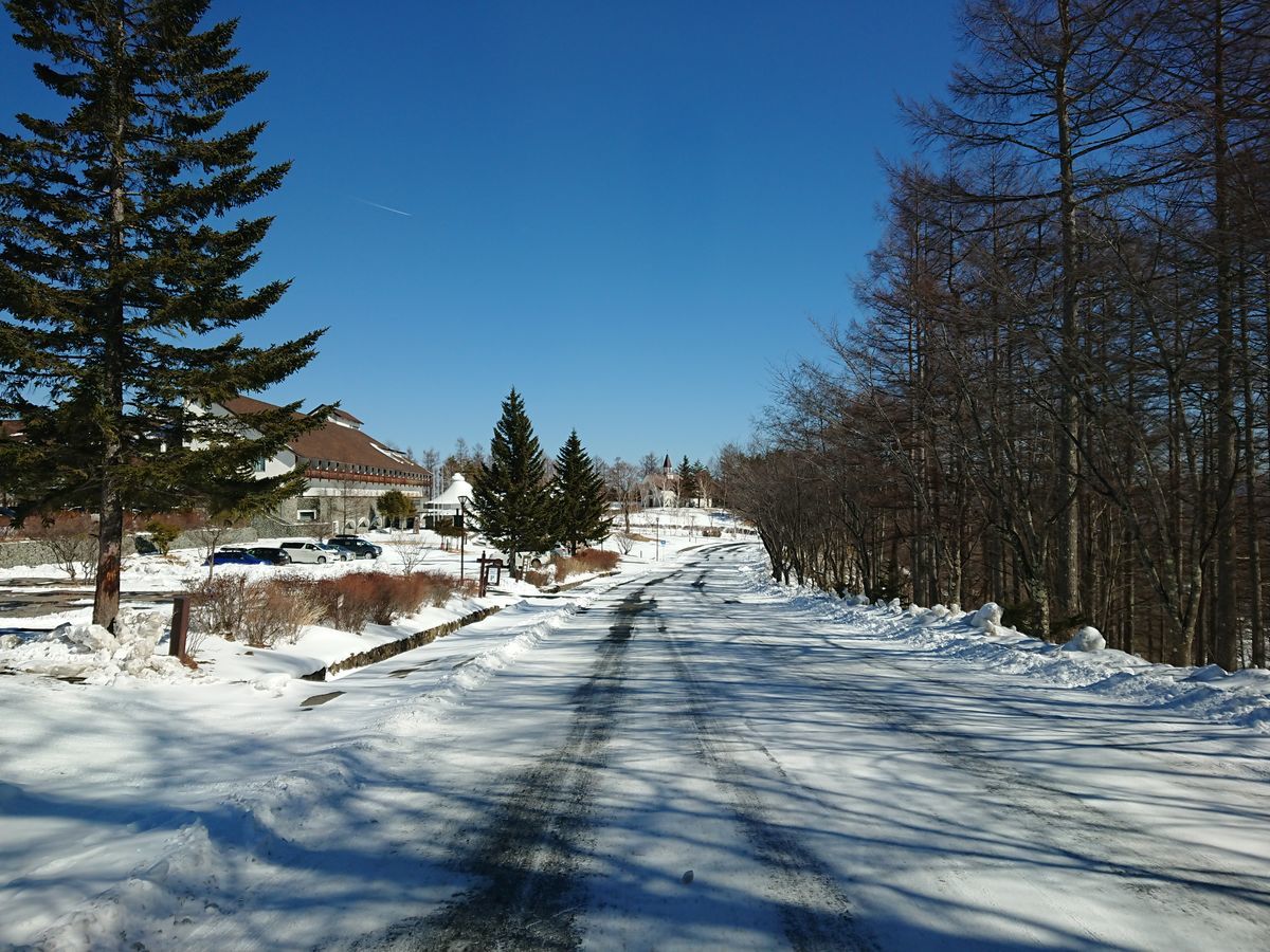 f:id:damtraveller:20210219185836j:plain