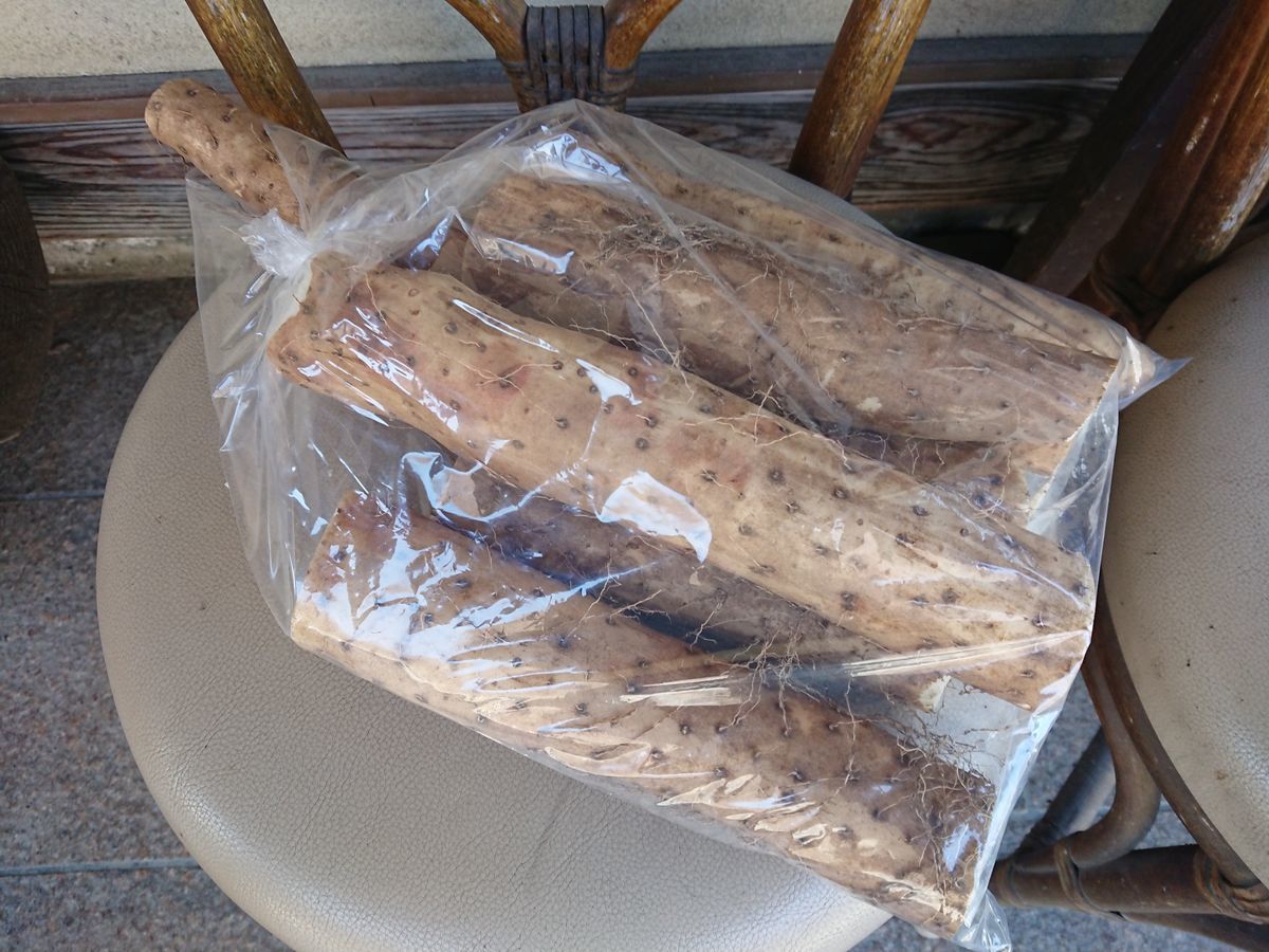 f:id:damtraveller:20210221150954j:plain