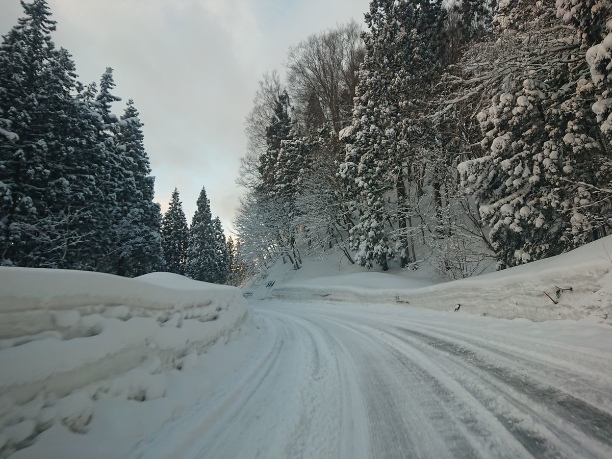 f:id:damtraveller:20210224170249j:plain