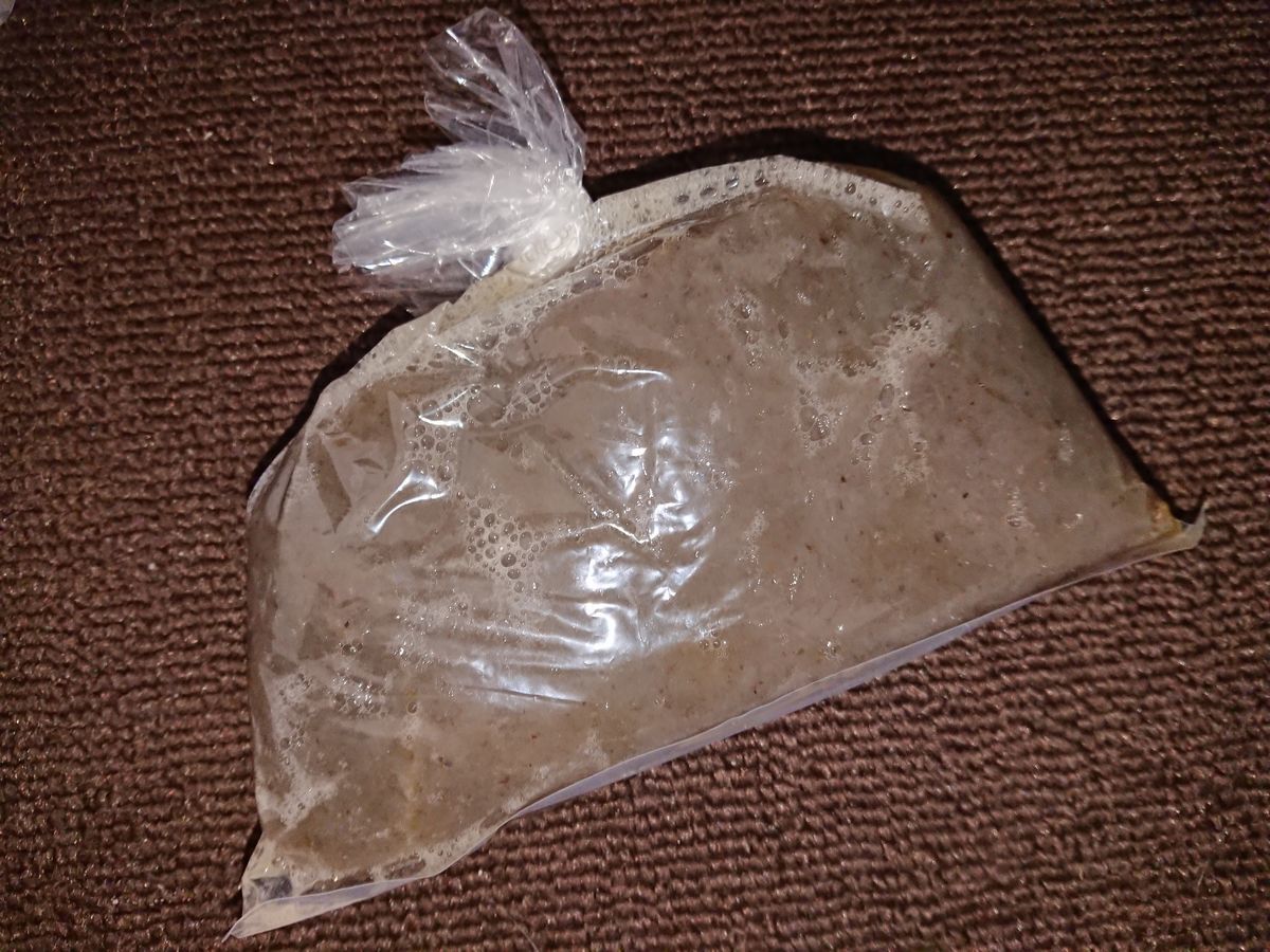 f:id:damtraveller:20210224174103j:plain