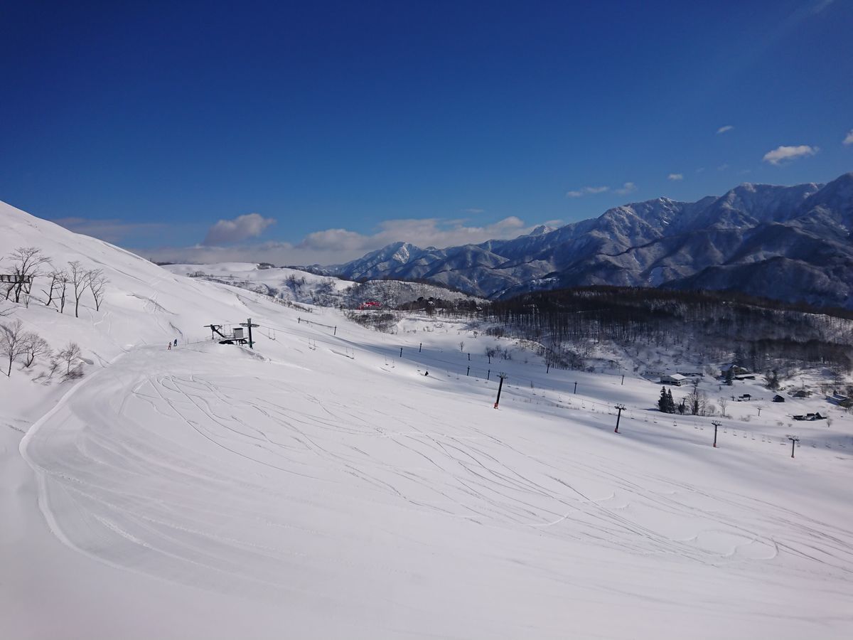 f:id:damtraveller:20210224183137j:plain