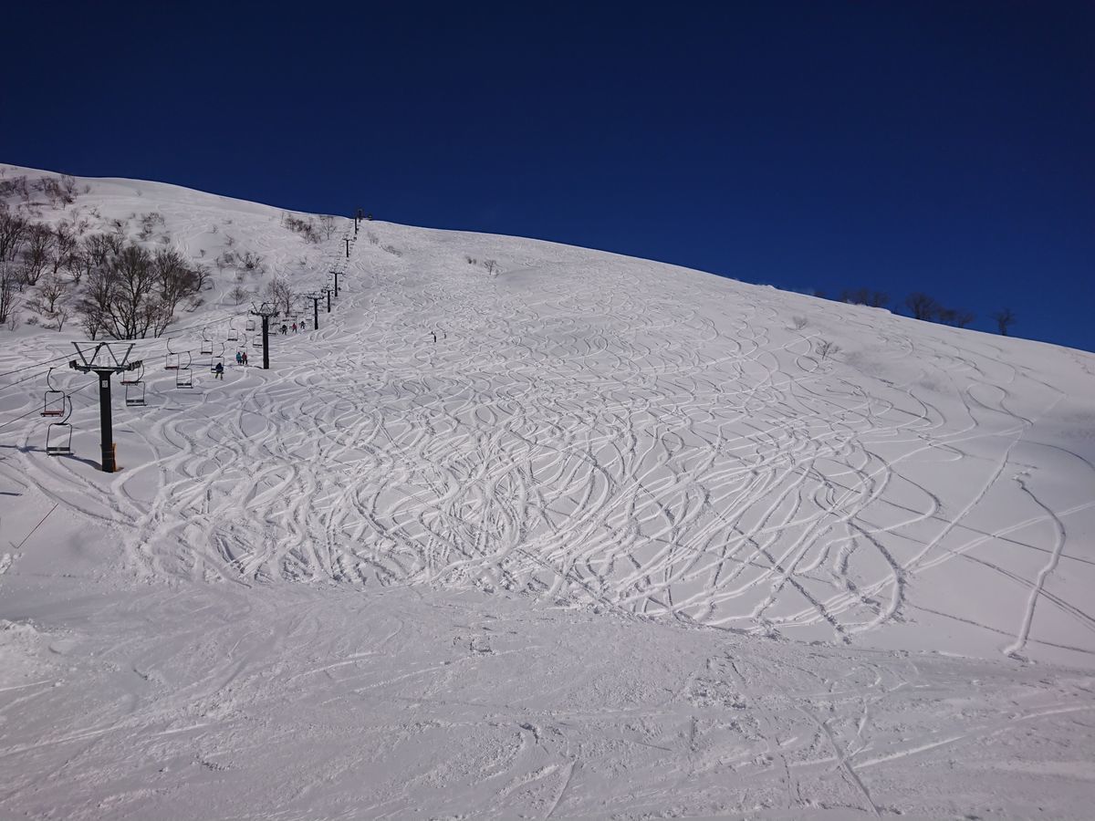 f:id:damtraveller:20210224183300j:plain