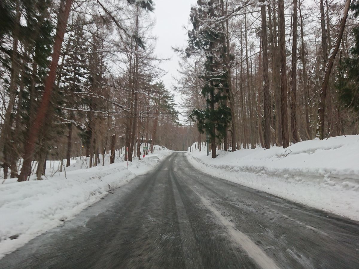 f:id:damtraveller:20210226173925j:plain