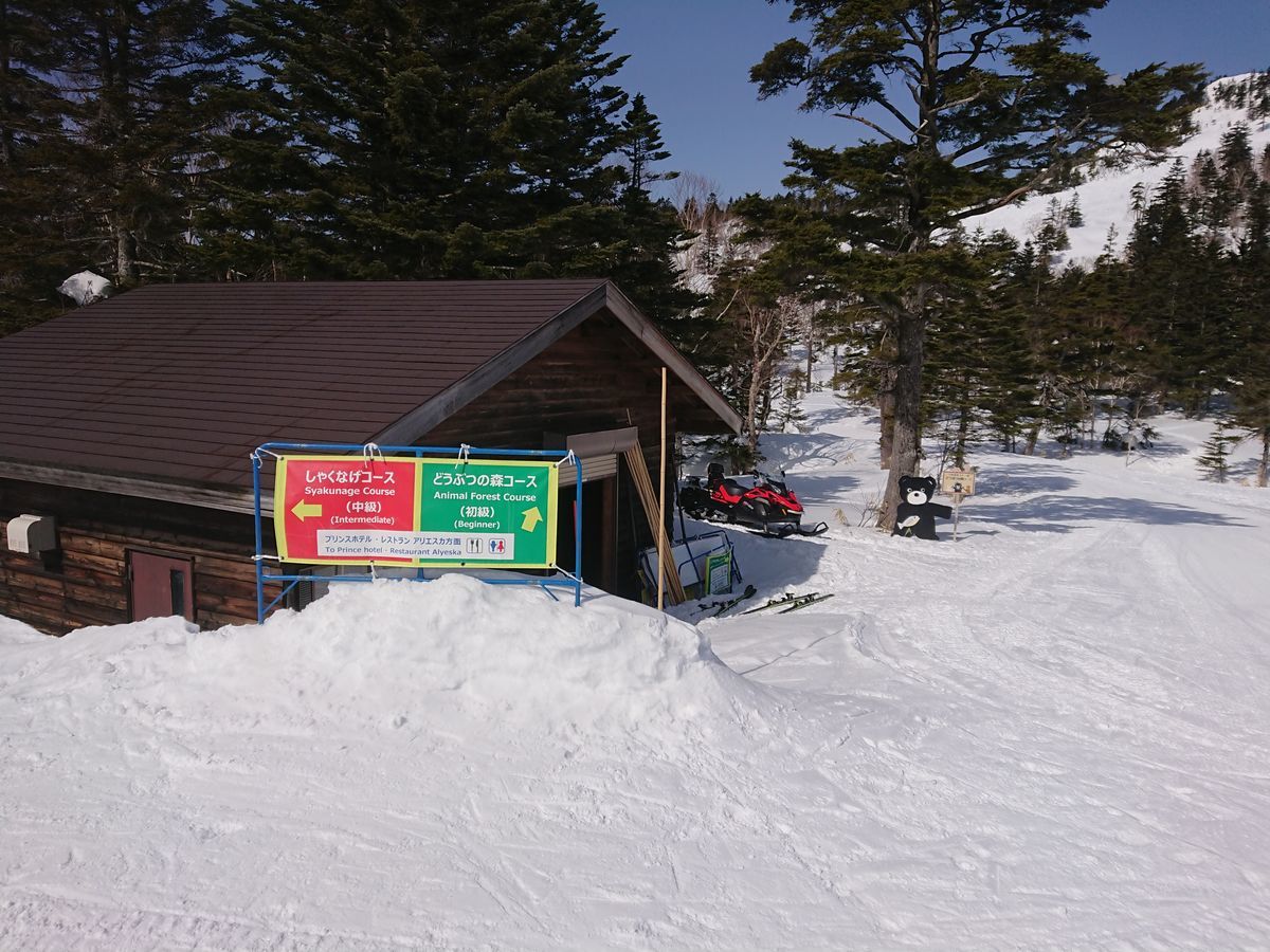 f:id:damtraveller:20210301210955j:plain