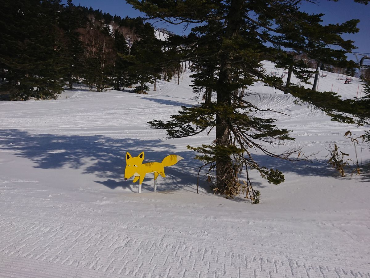 f:id:damtraveller:20210301211021j:plain