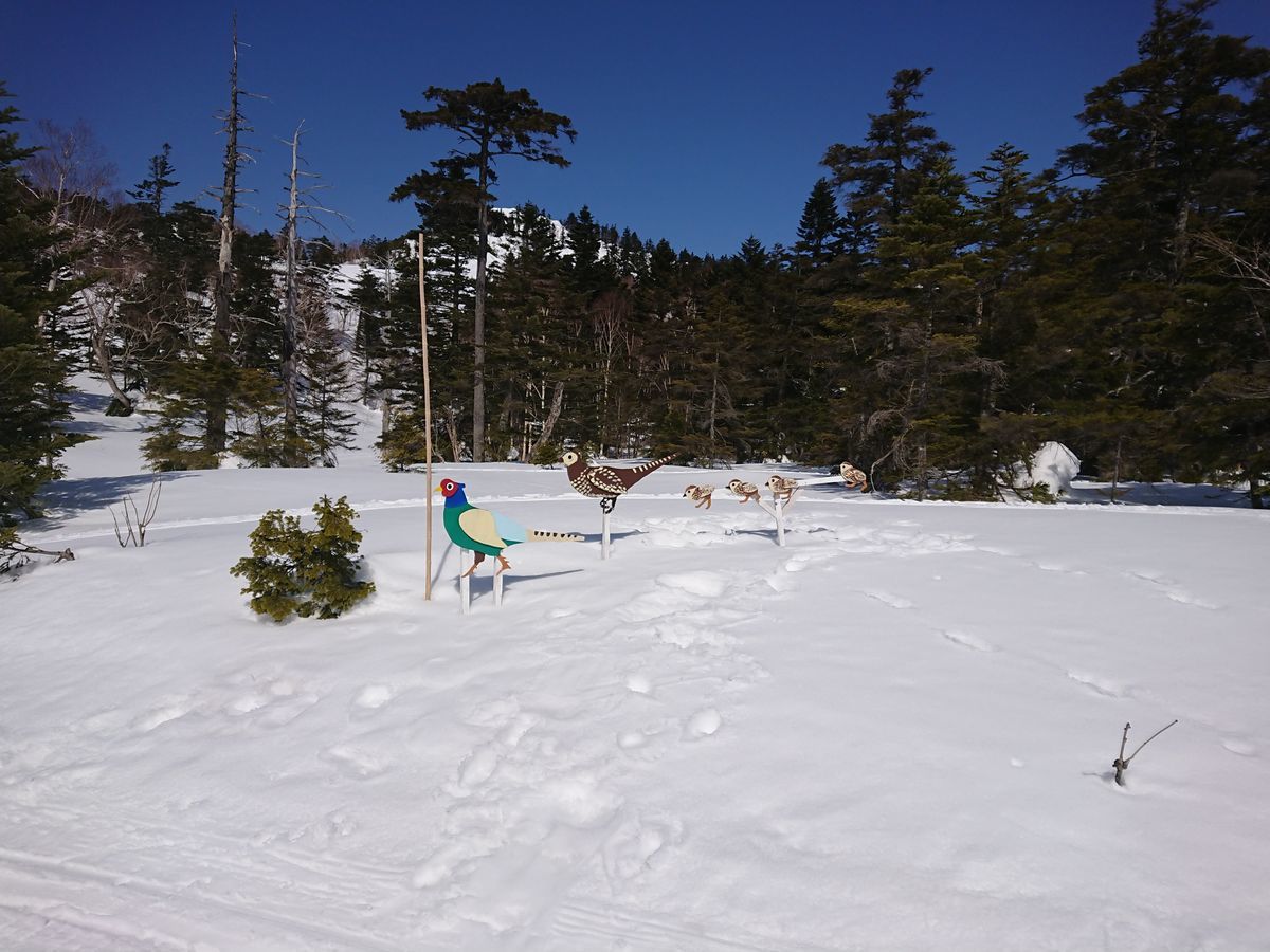 f:id:damtraveller:20210301211035j:plain