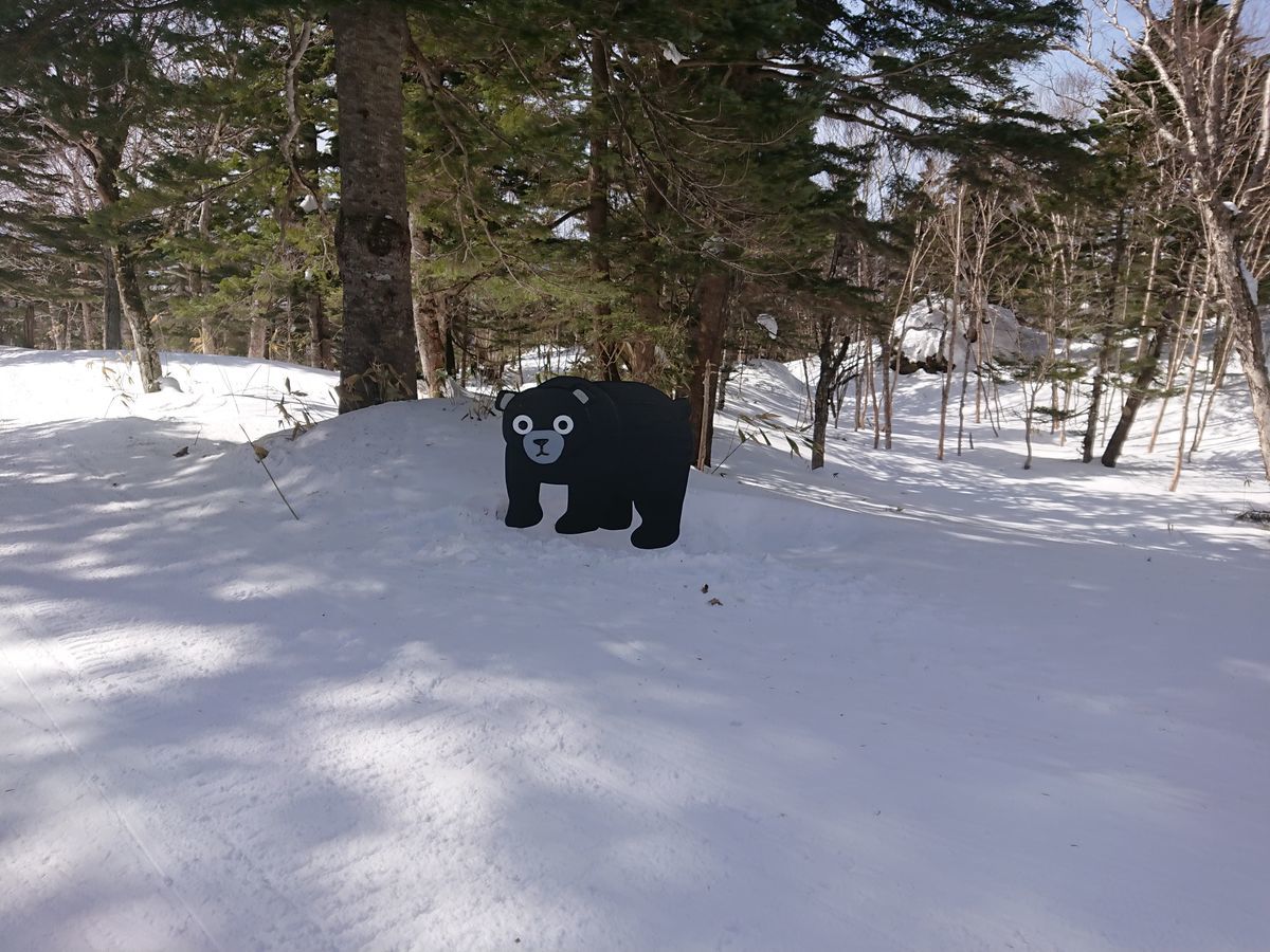 f:id:damtraveller:20210301211052j:plain