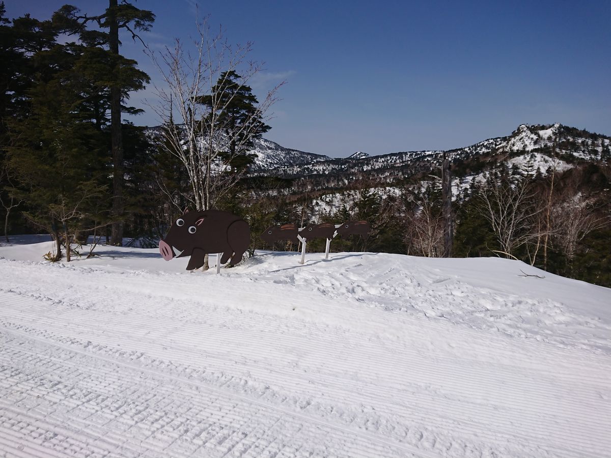 f:id:damtraveller:20210301211110j:plain