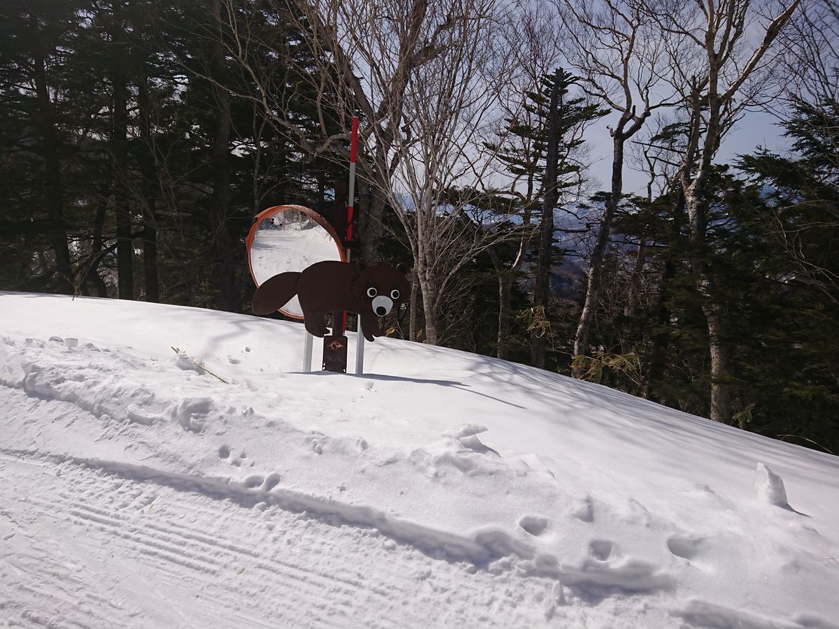 f:id:damtraveller:20210301211130j:plain