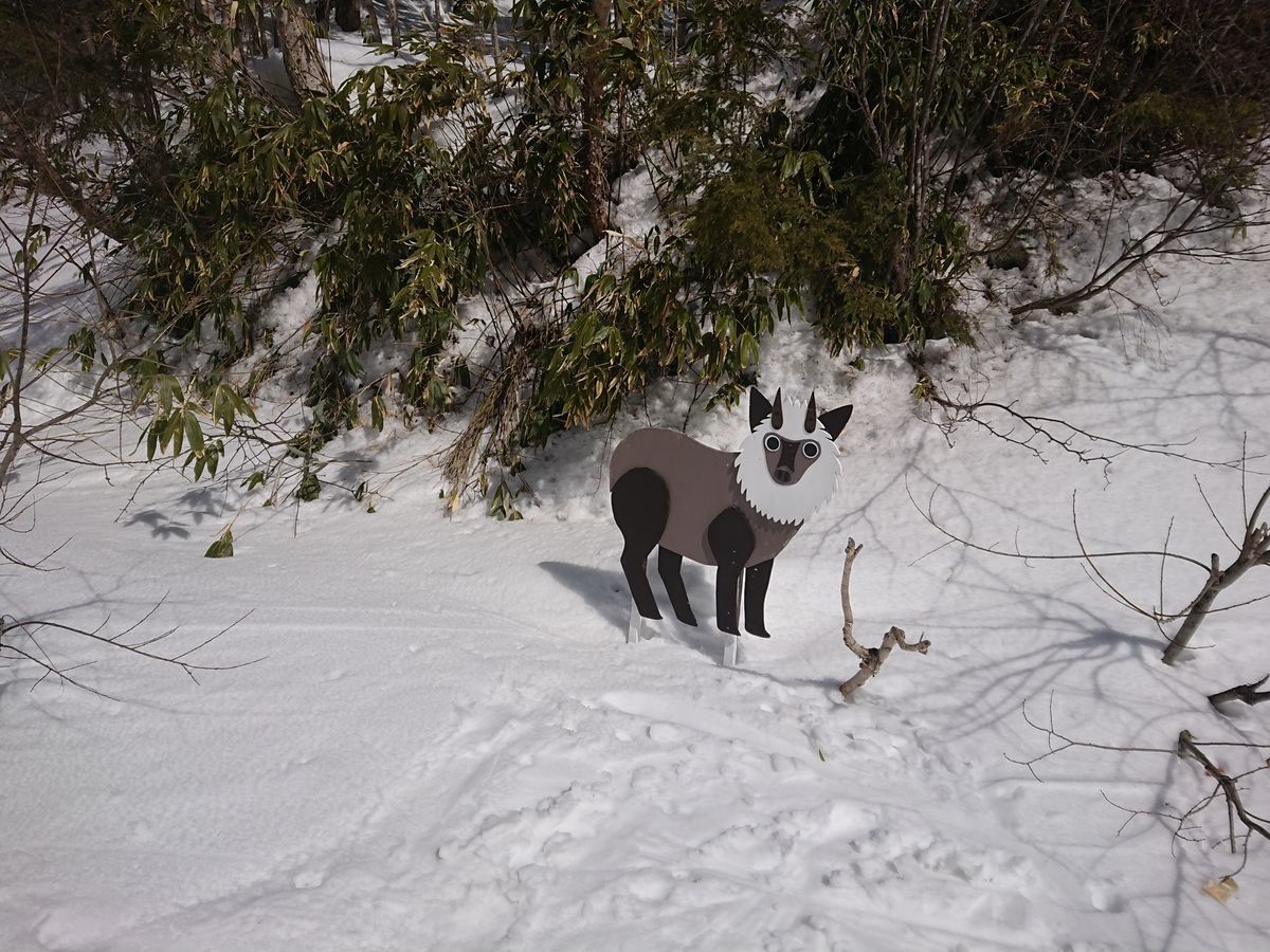 f:id:damtraveller:20210301211149j:plain