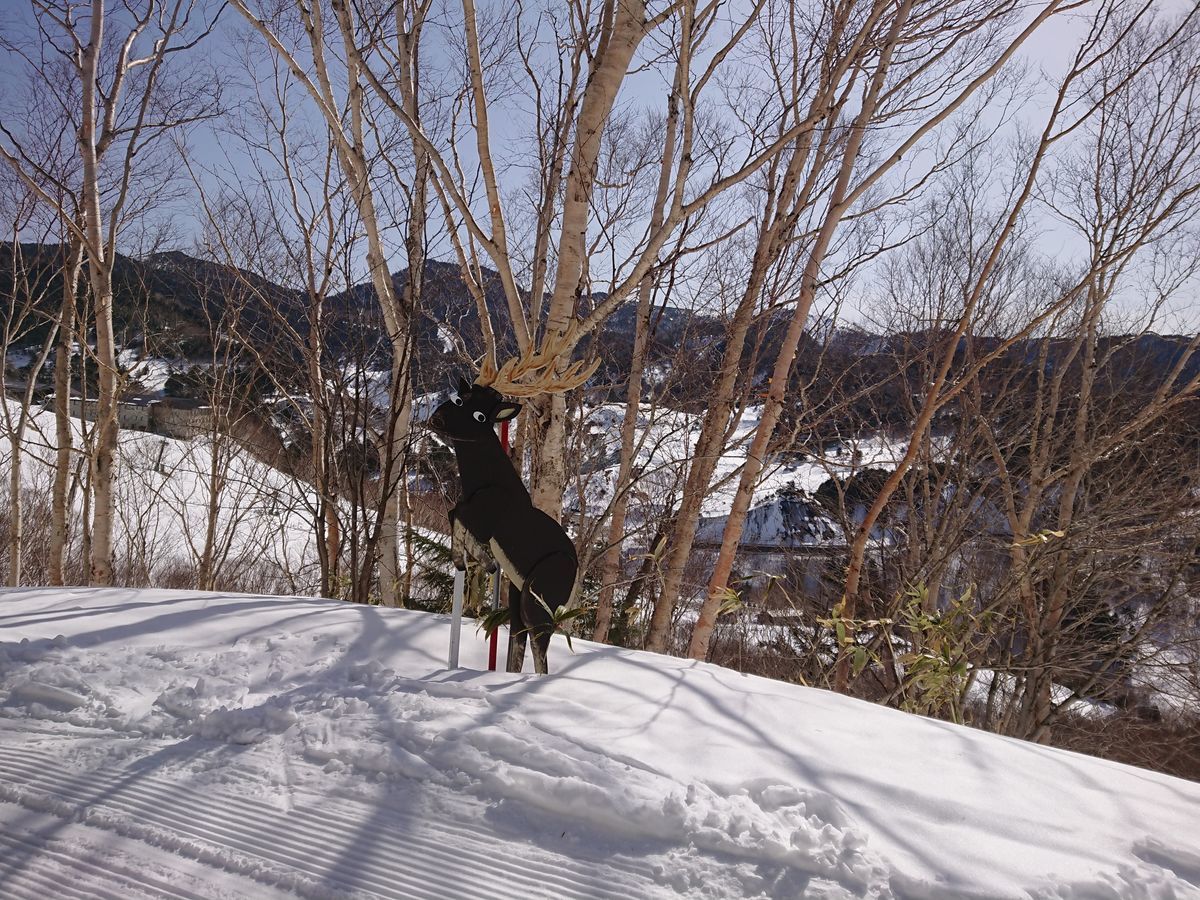 f:id:damtraveller:20210301211230j:plain