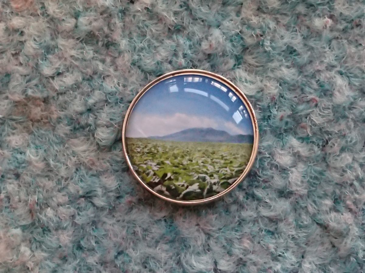 f:id:damtraveller:20210301221321j:plain