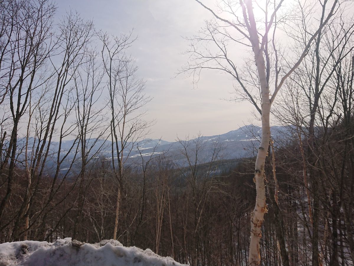 f:id:damtraveller:20210301221803j:plain