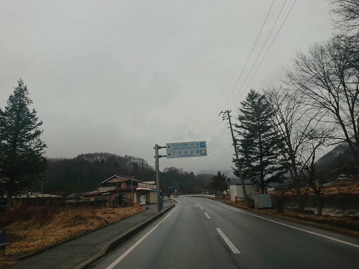 f:id:damtraveller:20210308175014j:plain