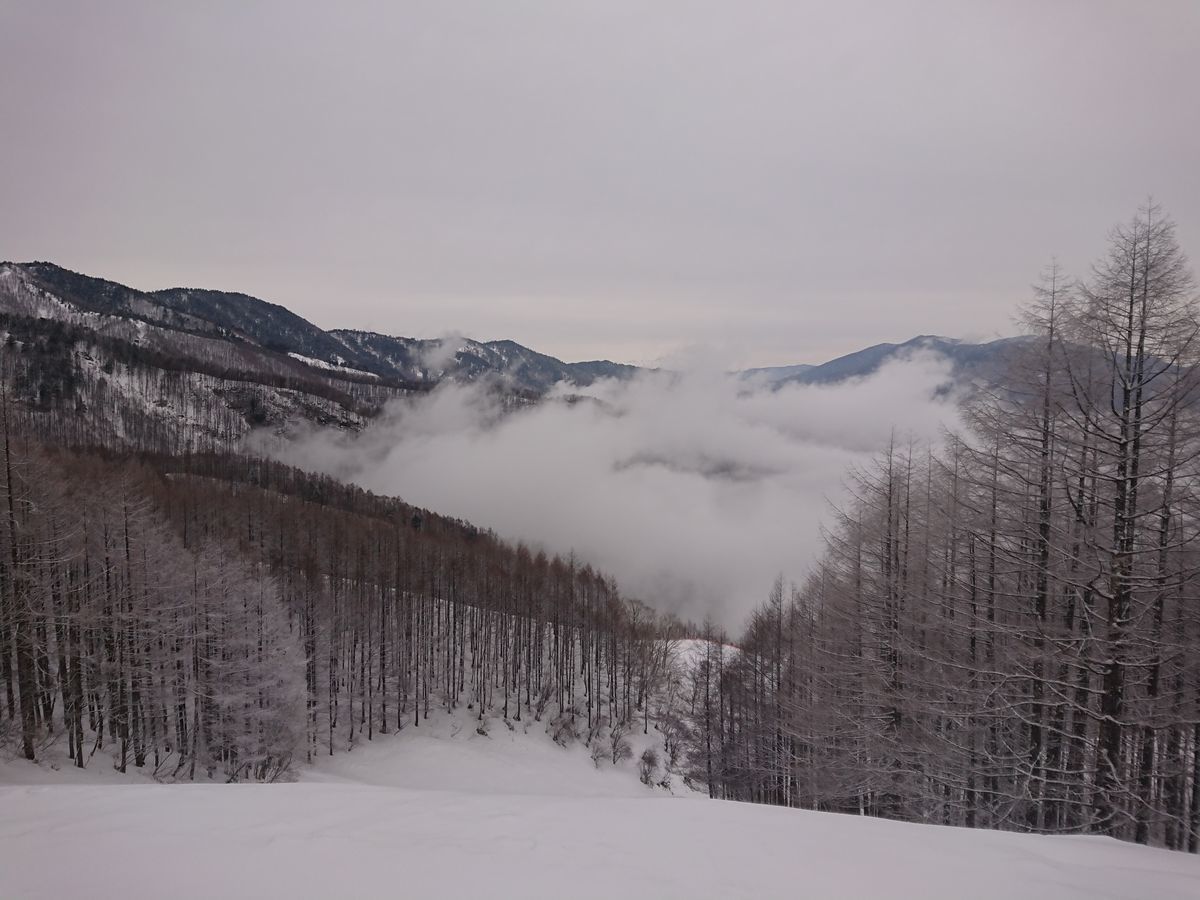 f:id:damtraveller:20210308182652j:plain