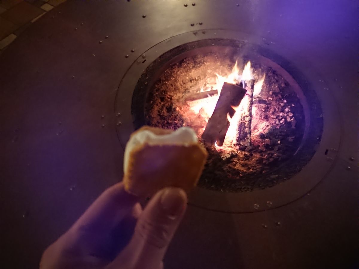 f:id:damtraveller:20210308204333j:plain