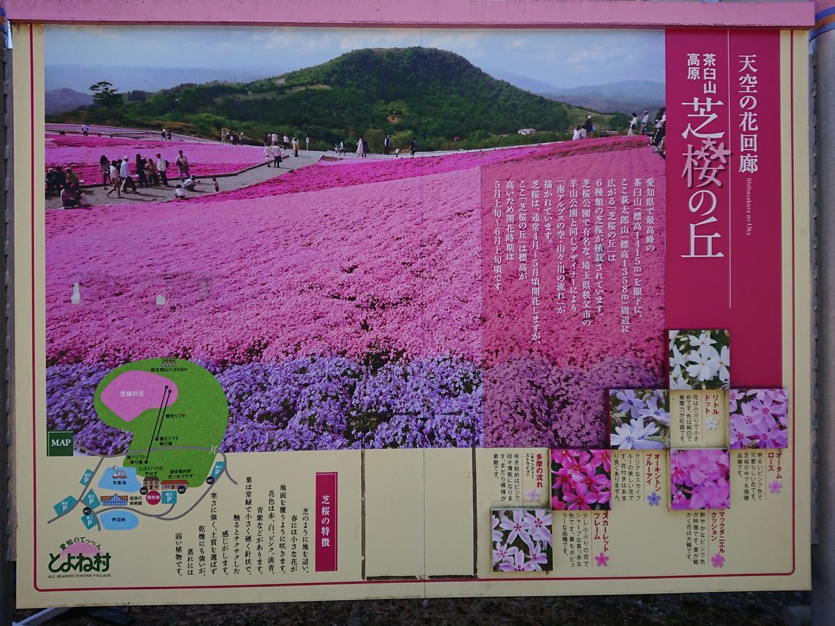 f:id:damtraveller:20210310220844j:plain