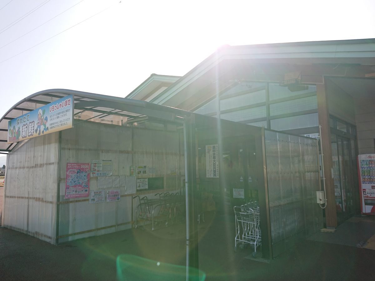 f:id:damtraveller:20210310230512j:plain