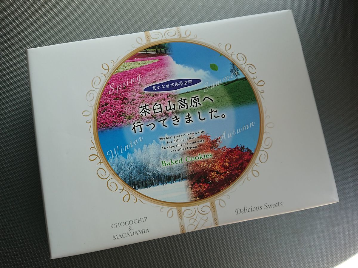 f:id:damtraveller:20210310231040j:plain