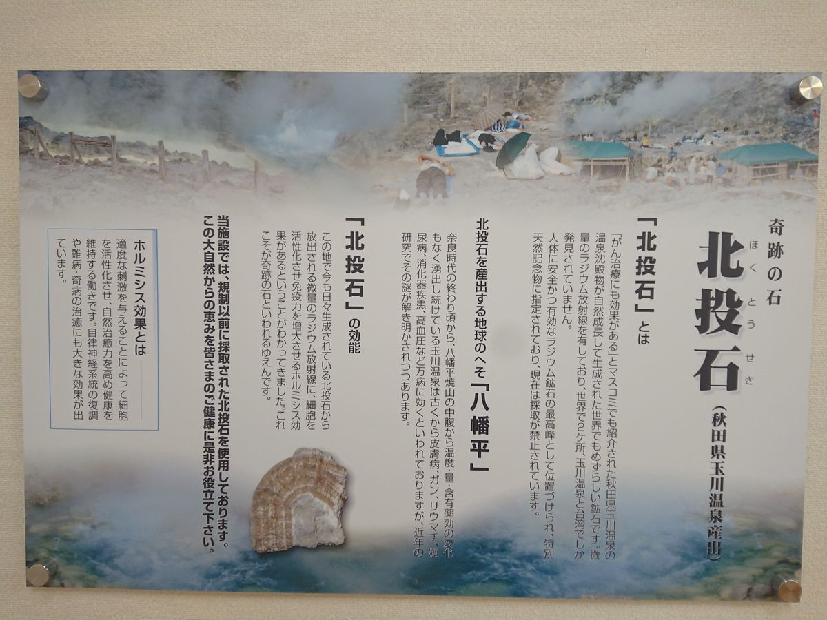 f:id:damtraveller:20210320160656j:plain