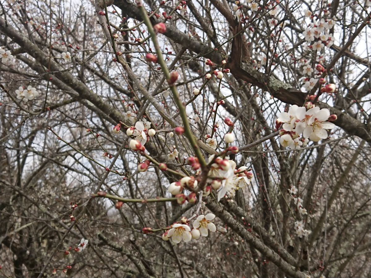 f:id:damtraveller:20210320170901j:plain