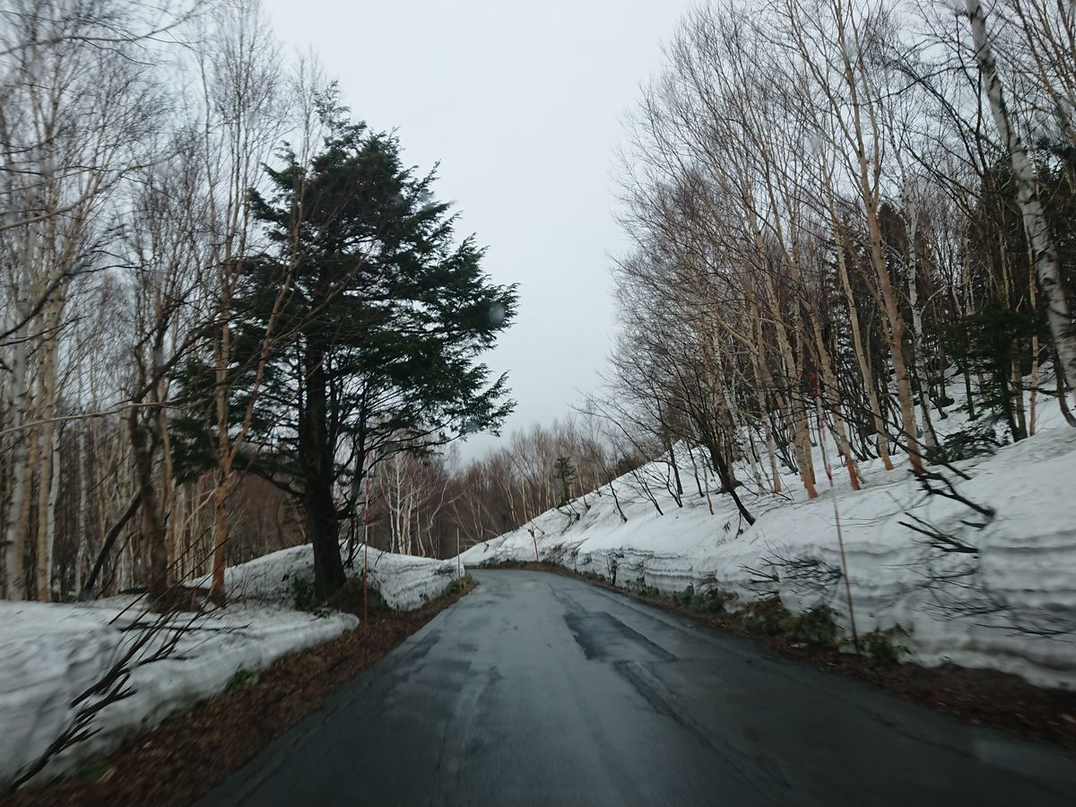 f:id:damtraveller:20210405163022j:plain